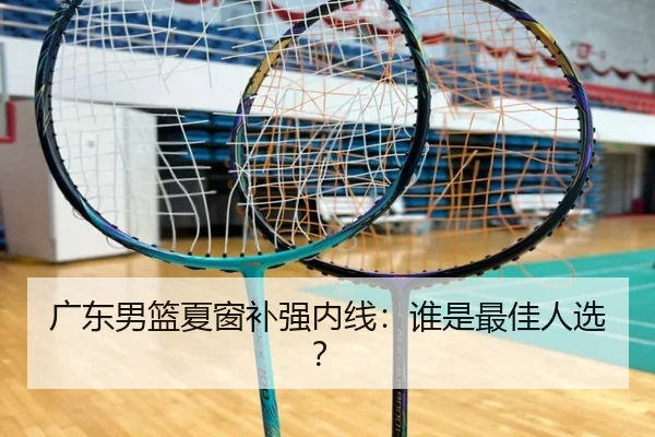 广东男篮夏窗补强内线：谁是最佳人选？