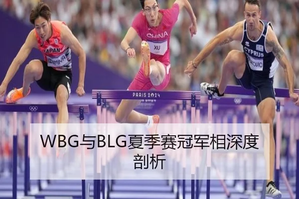 WBG与BLG夏季赛冠军相深度剖析